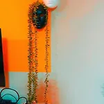 Amazona شقة تيرانا