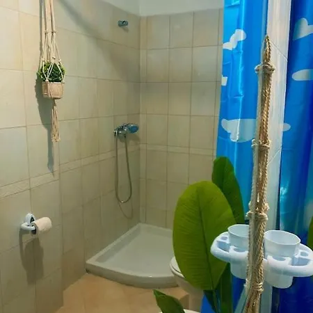 Amazona Appartamento Tirana