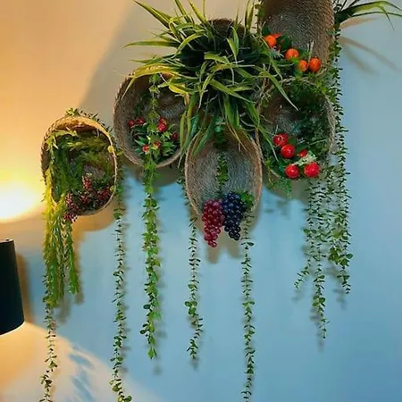 Appartamento Amazona Tirana