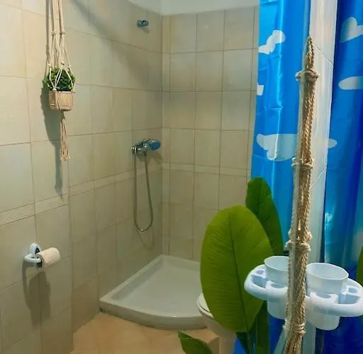 Amazona Apartamento Tirana