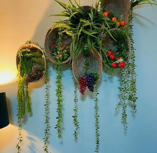 Lägenhet Amazona Tirana